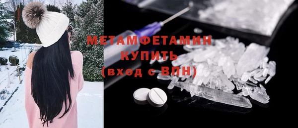 сатива Беломорск