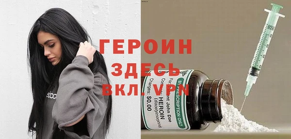 сатива Беломорск