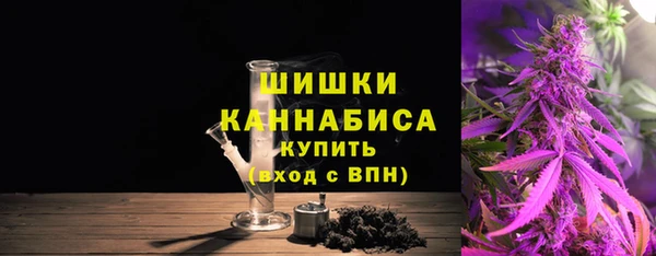 сатива Беломорск