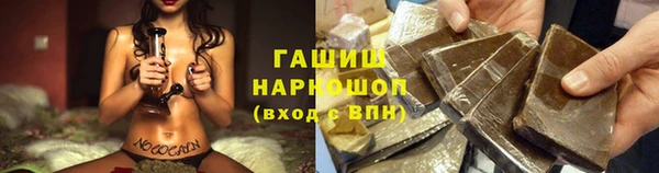 сатива Беломорск