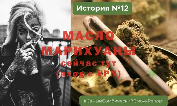 сатива Беломорск