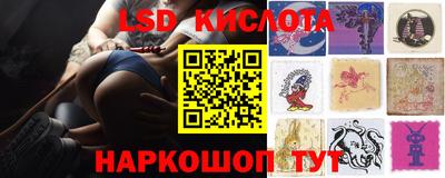 мяу мяу мука Апшеронск