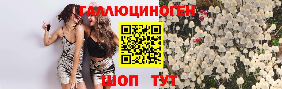 Галлюциногенные грибы Cubensis  Видное 