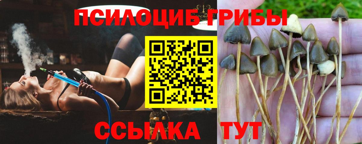 Галлюциногенные грибы MAGIC MUSHROOMS Видное