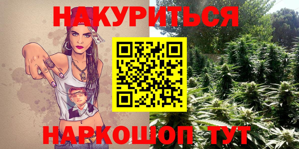 Марихуана планчик  Вход с VPN  МАРИХУАНА VHQ  Канабис Ganja  Видное 